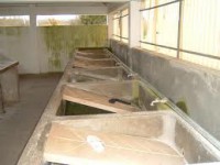 /album/a-aldeia/imagesdss-jpeg/